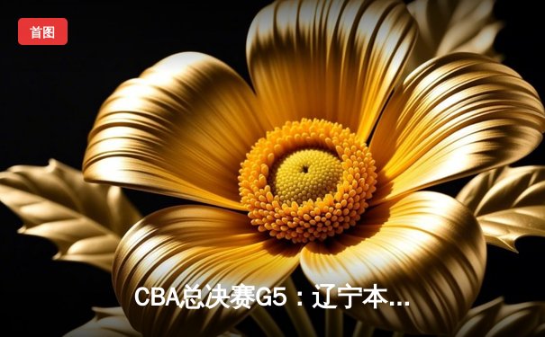 CBA总决赛G5：辽宁本钢加时险胜广东宏远，赵继伟砍30分加冕FMVP